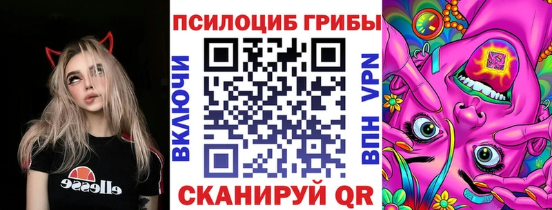 Псилоцибиновые грибы Psilocybe  Ясногорск 